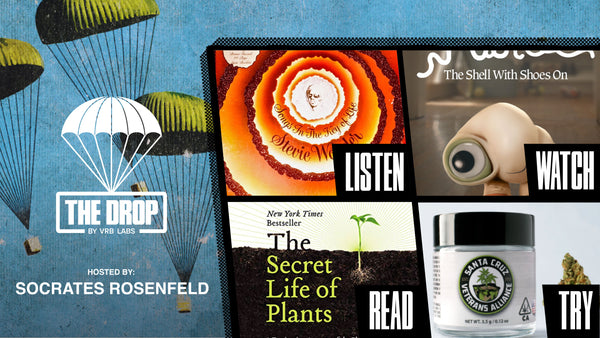 The Drop №. 95 with Guest Socrates Rosenfeld