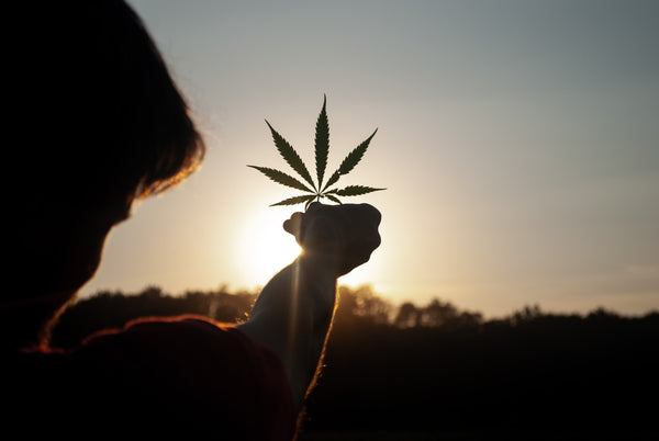 How is Delta-8-THC Different from THC?