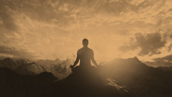 Stoic Tools for a Good Life: The Last Time Meditation